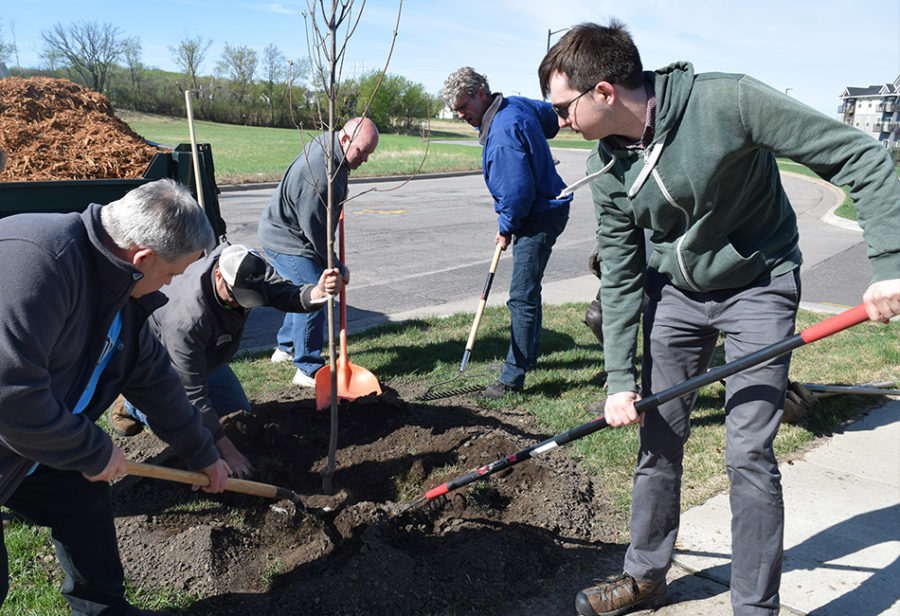 UMC Employees Planting Trees
